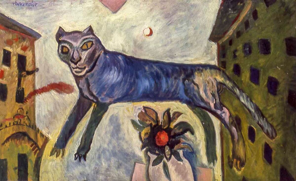 Gatto volante
